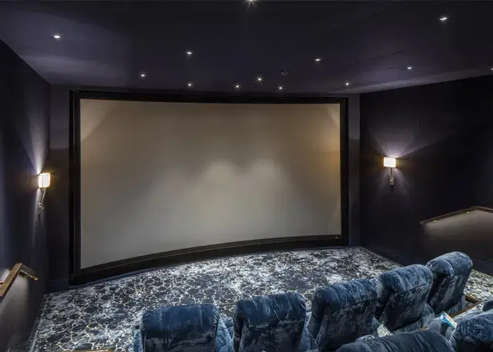 Entertainment Systems